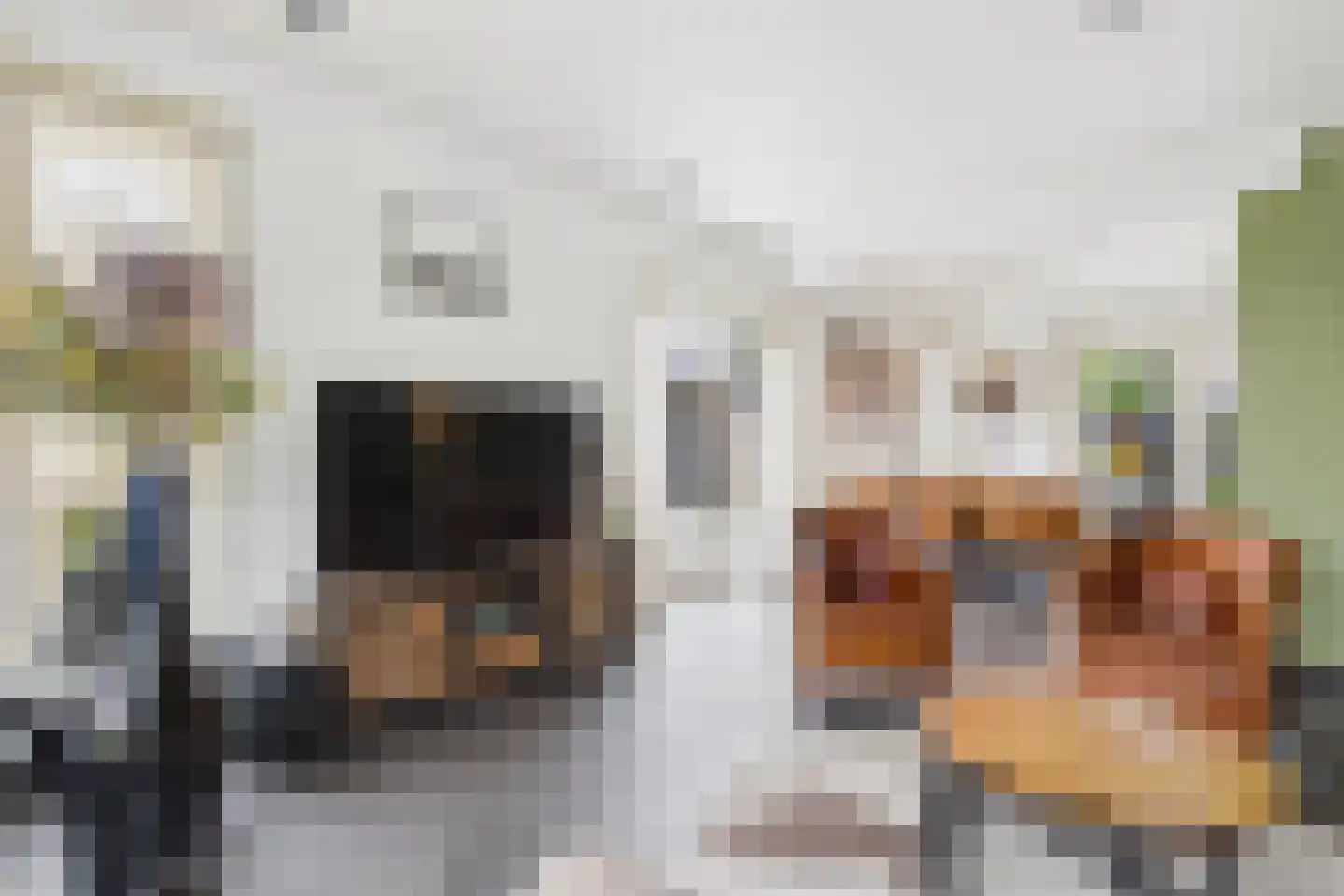 Platschelp 7 Terneuzen thumbnail 16
