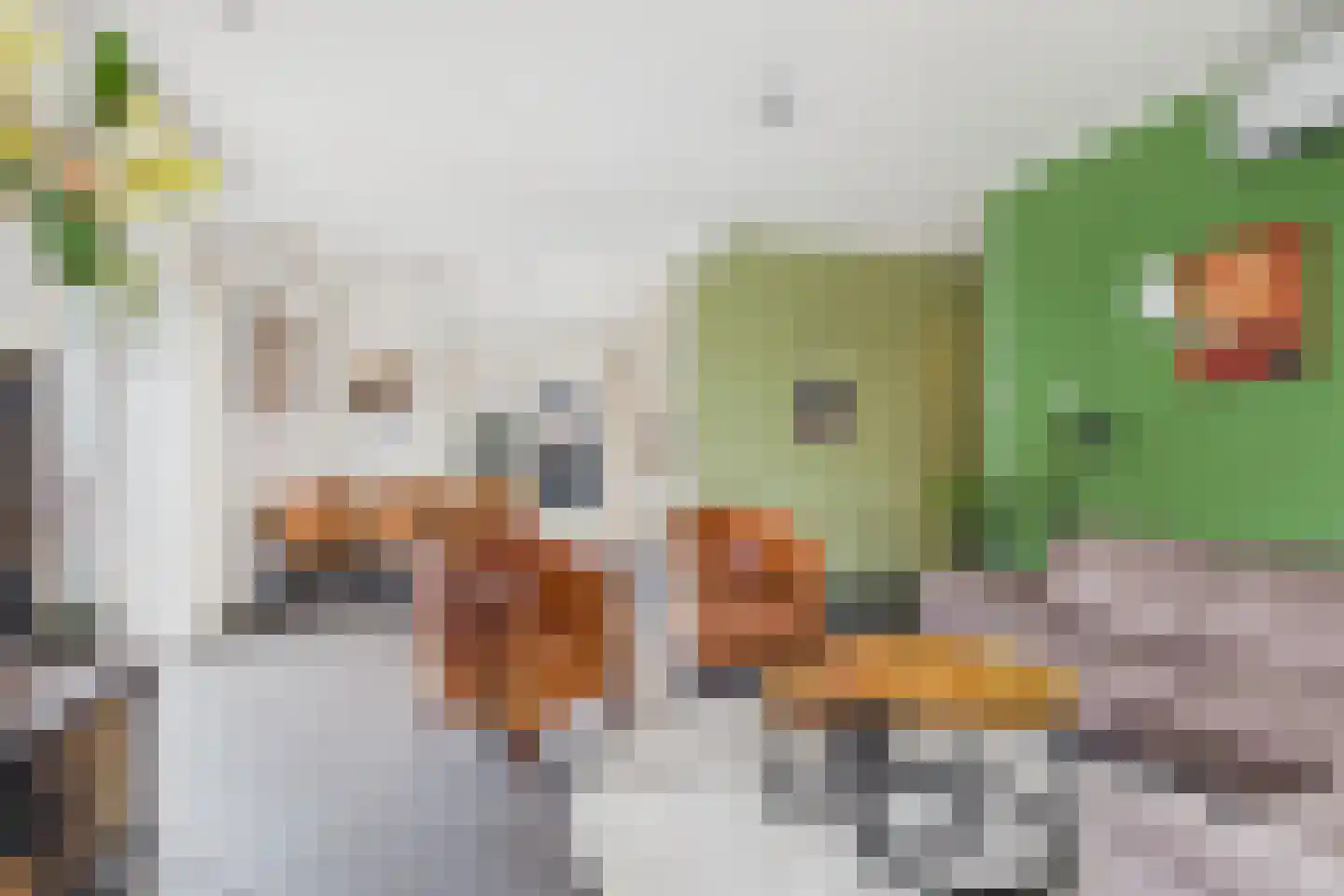 Platschelp 7 Terneuzen thumbnail 17