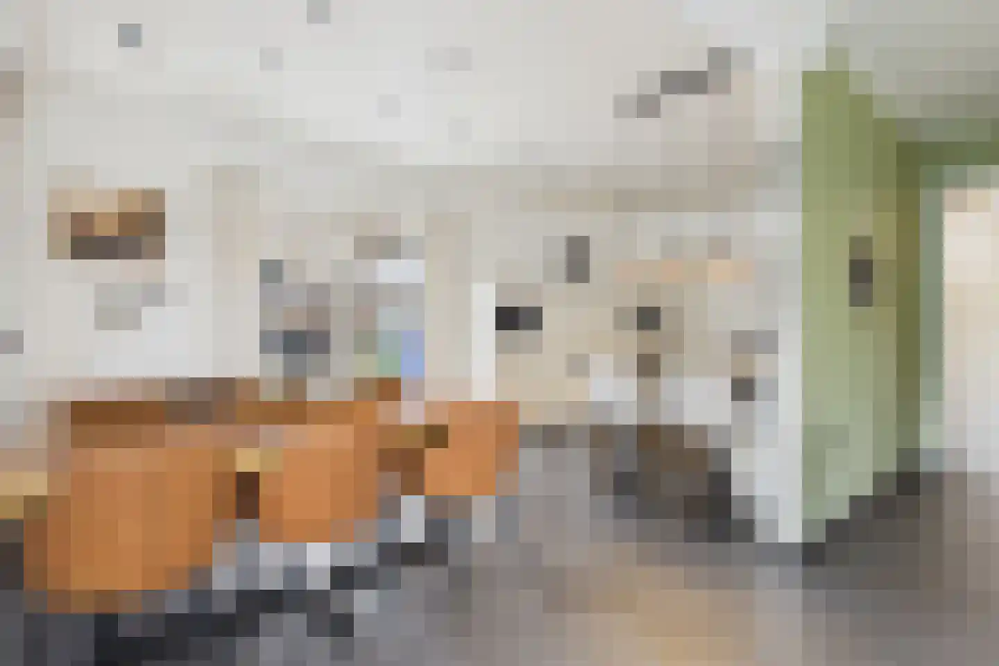 Platschelp 7 Terneuzen thumbnail 18
