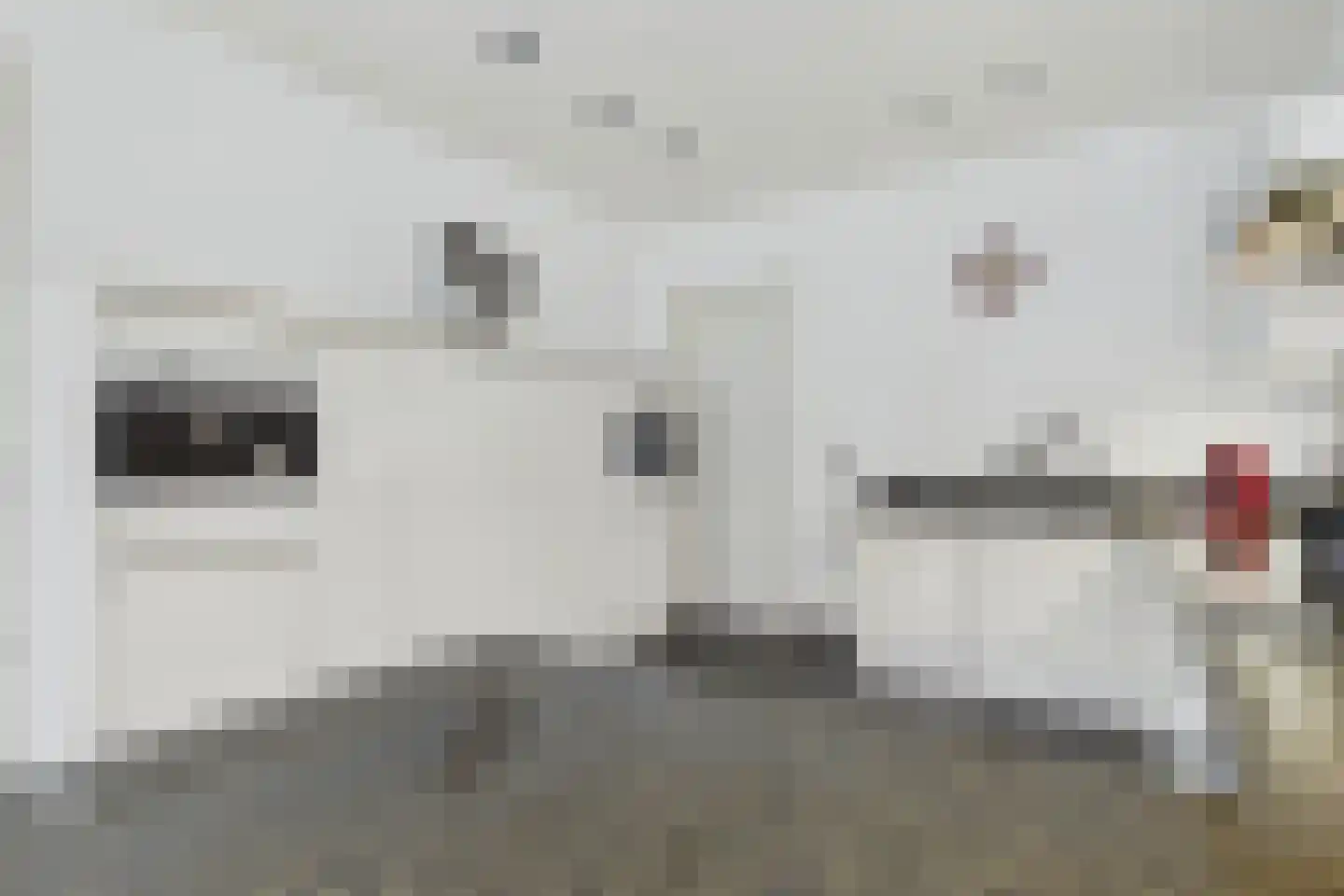 Platschelp 7 Terneuzen thumbnail 20