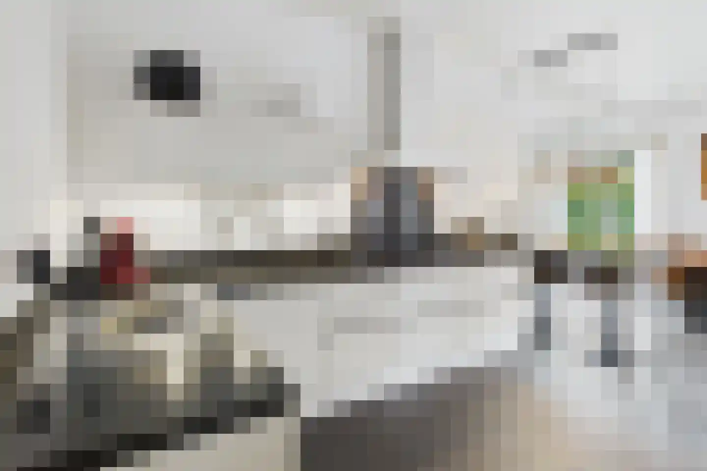 Platschelp 7 Terneuzen thumbnail 21