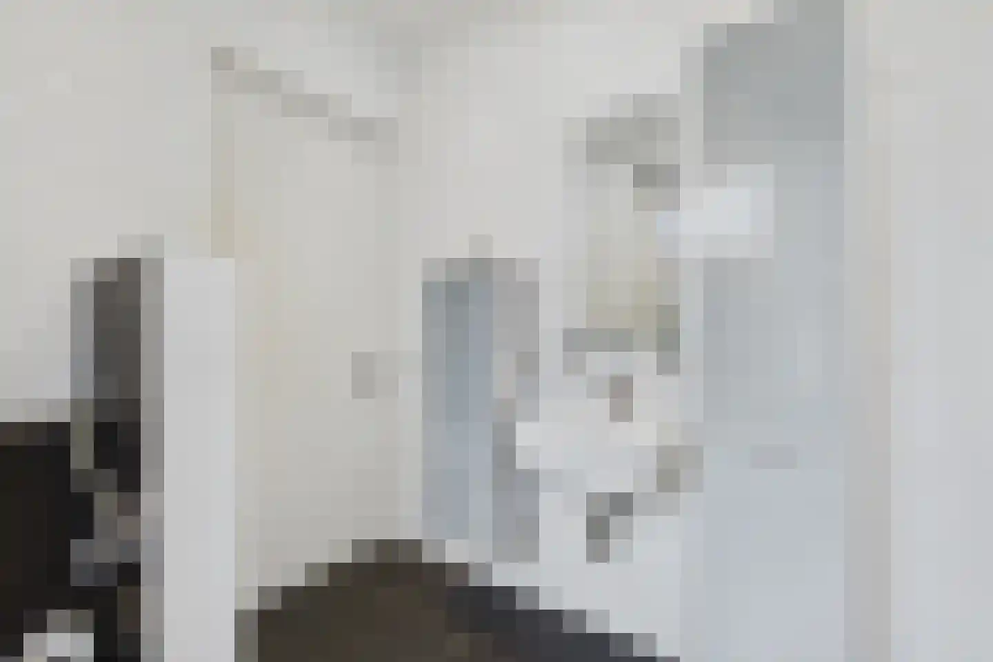 Platschelp 7 Terneuzen thumbnail 30