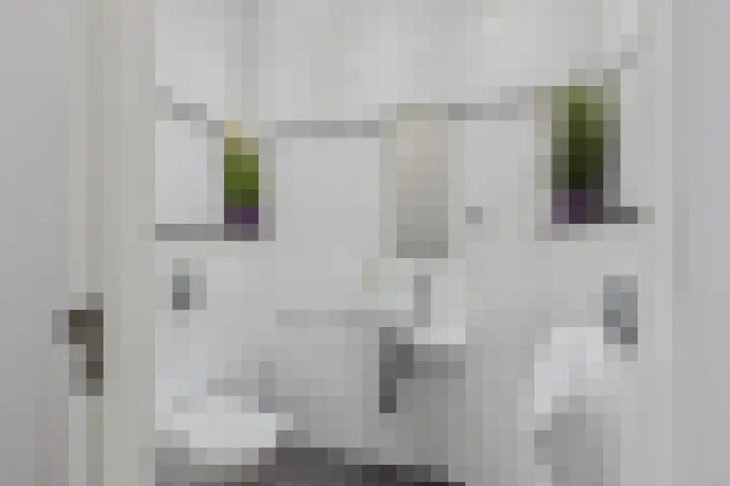 Platschelp 7 Terneuzen thumbnail 32