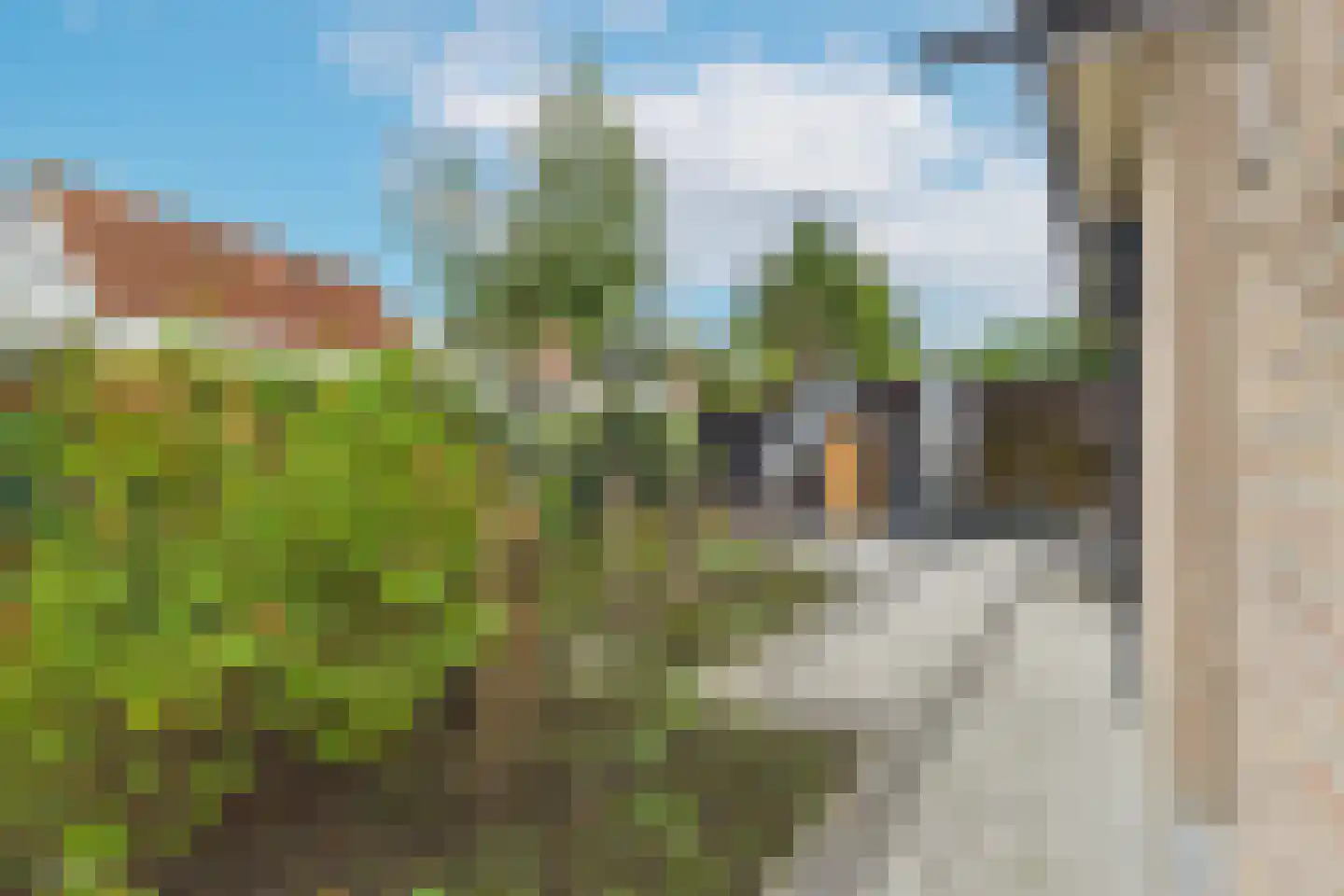 Platschelp 7 Terneuzen thumbnail 37