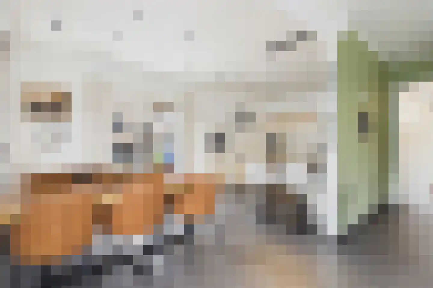 Platschelp 7 Terneuzen thumbnail 4