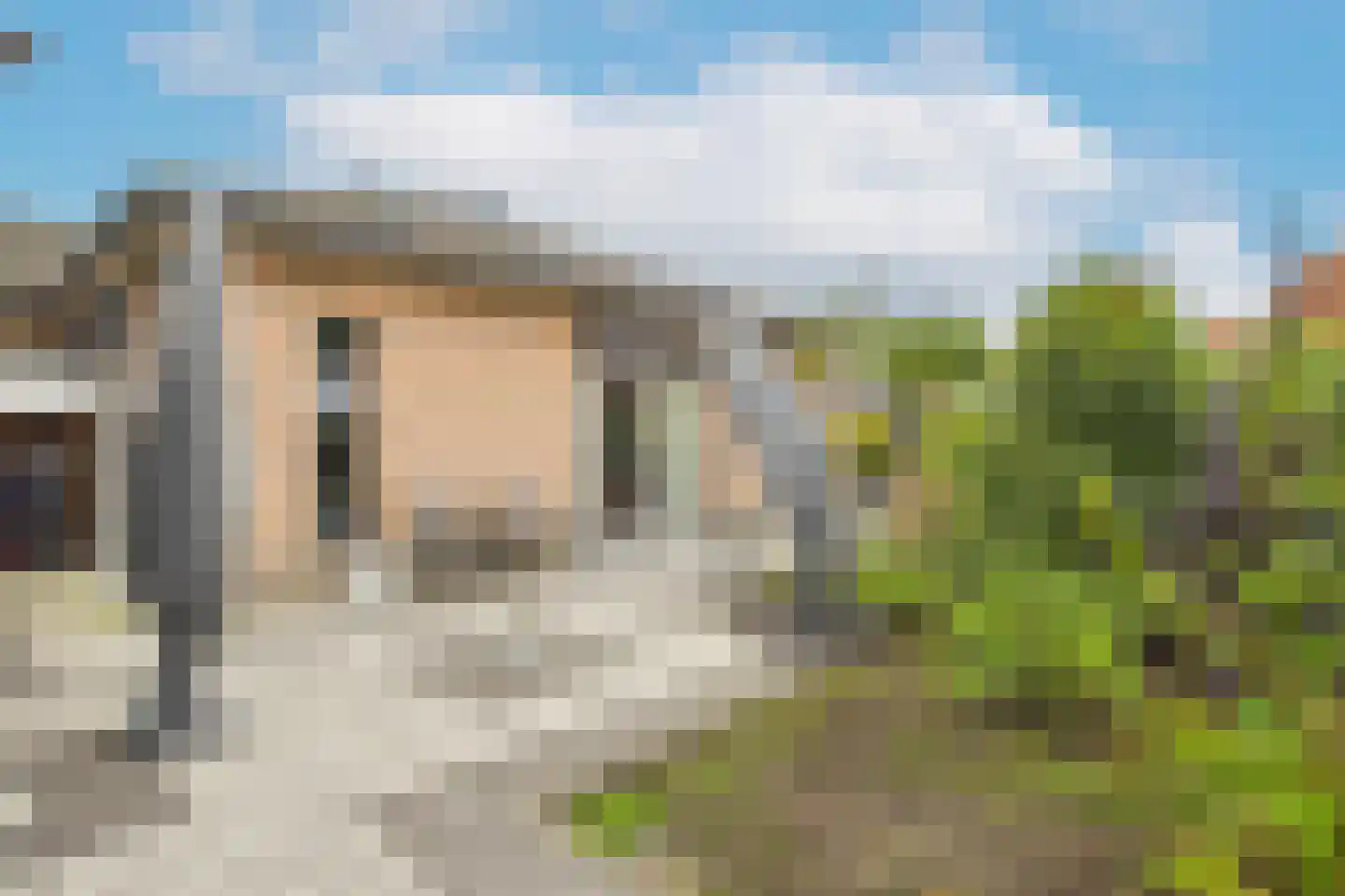 Platschelp 7 Terneuzen thumbnail 40