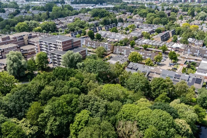 Platschelpenbank 2 Leiden thumbnail 5
