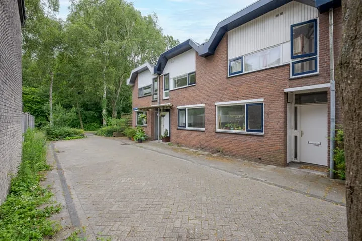 Platschelpenbank 2 Leiden thumbnail 8