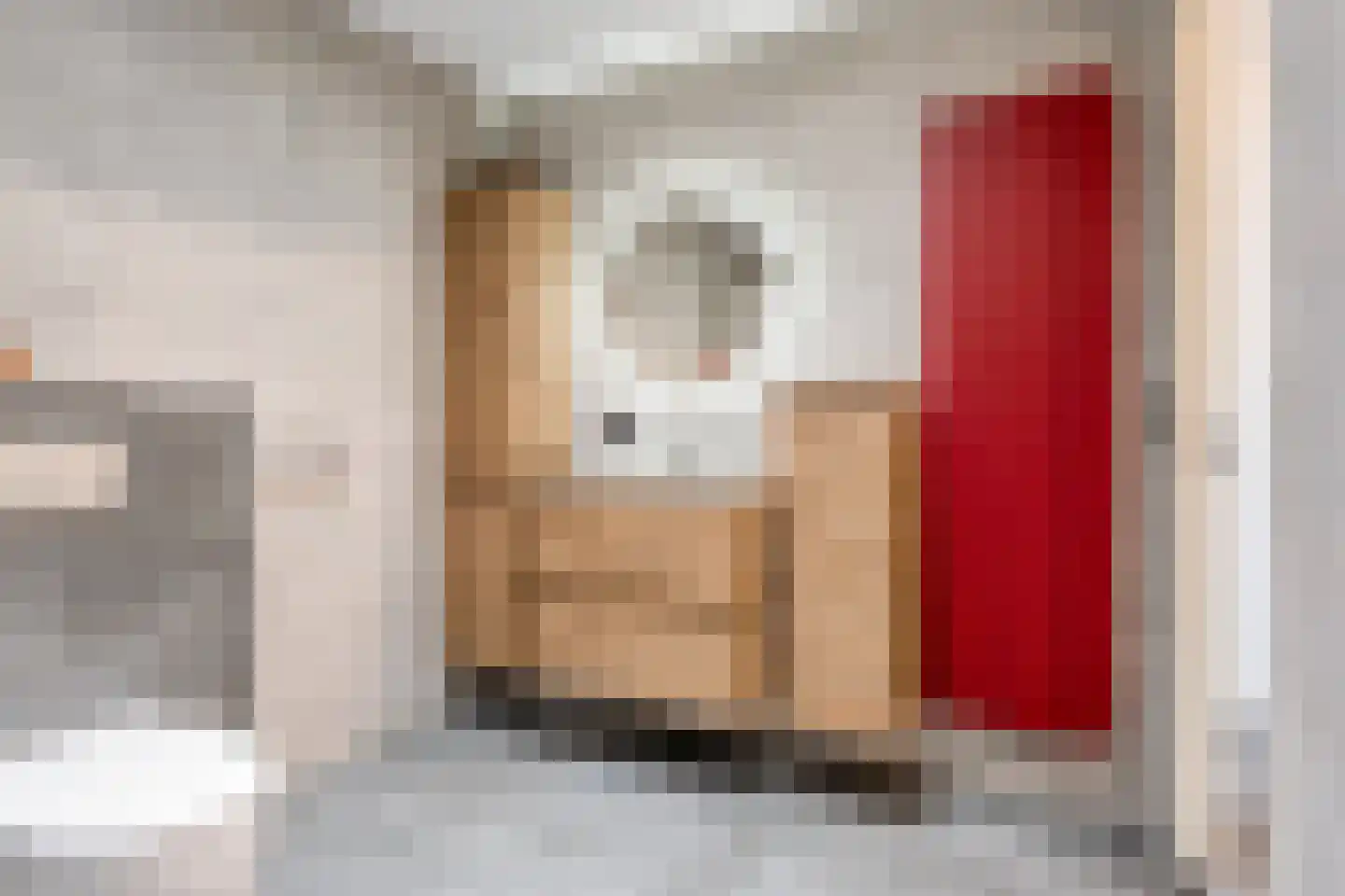 Platte Akker 105 Teteringen thumbnail 24