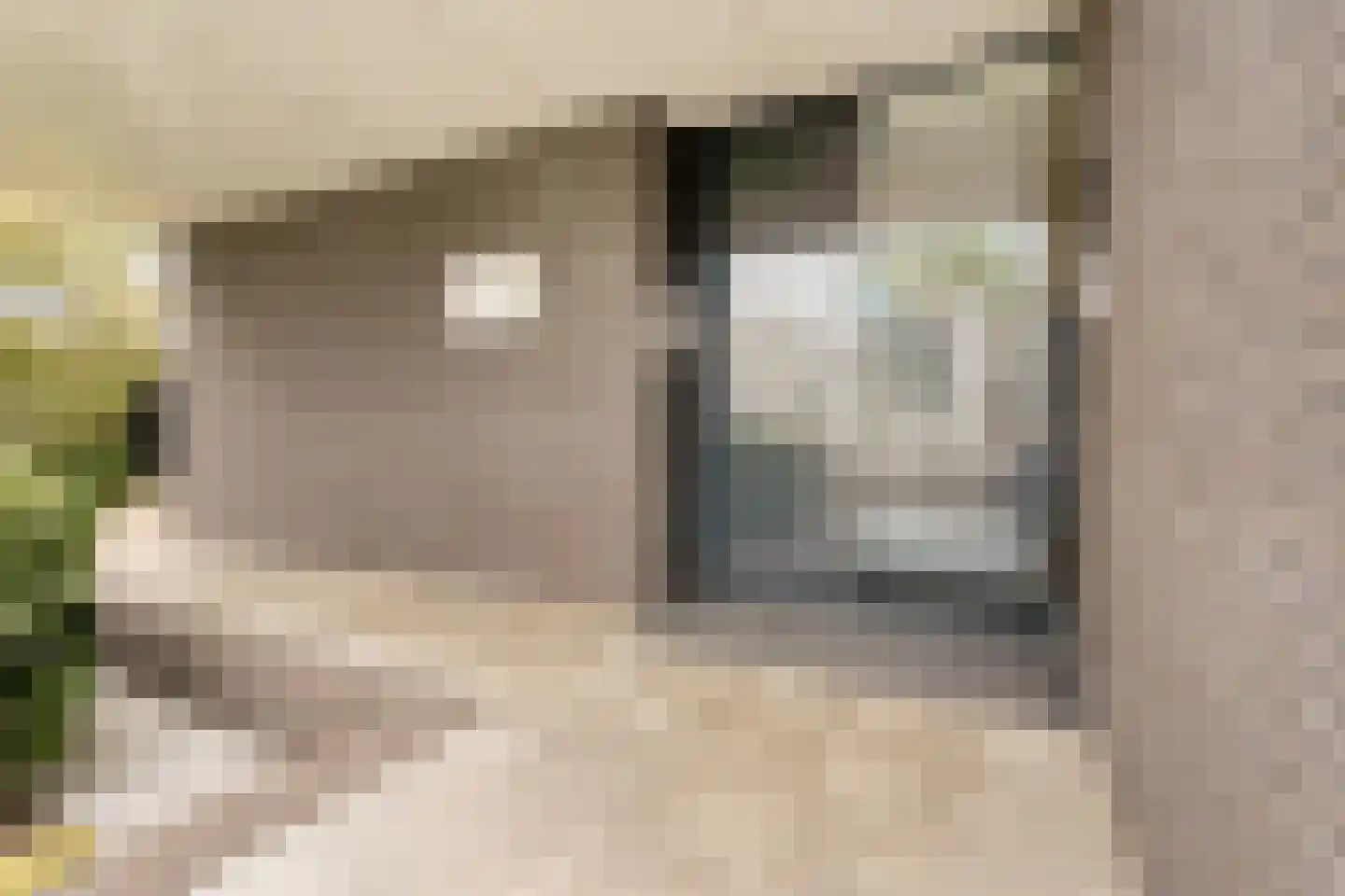 Platte Akker 105 Teteringen thumbnail 32