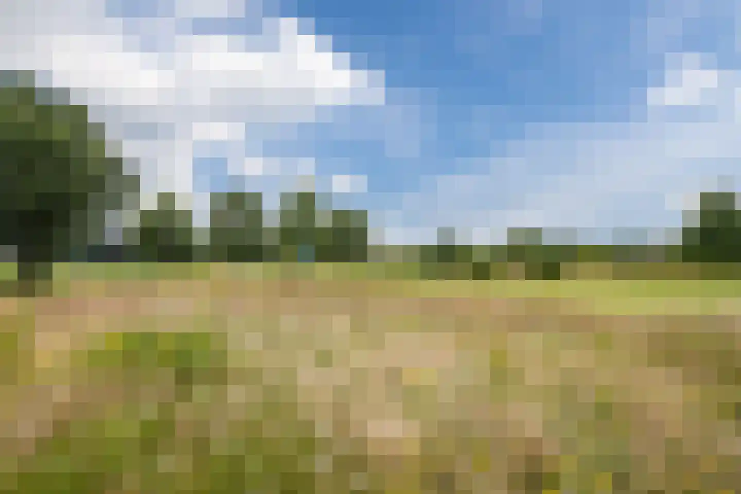 Platte Akker 105 Teteringen thumbnail 37