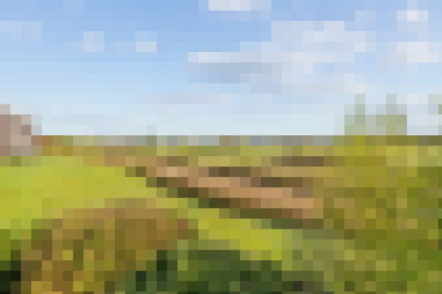 Platte Akker 109 Teteringen thumbnail 41