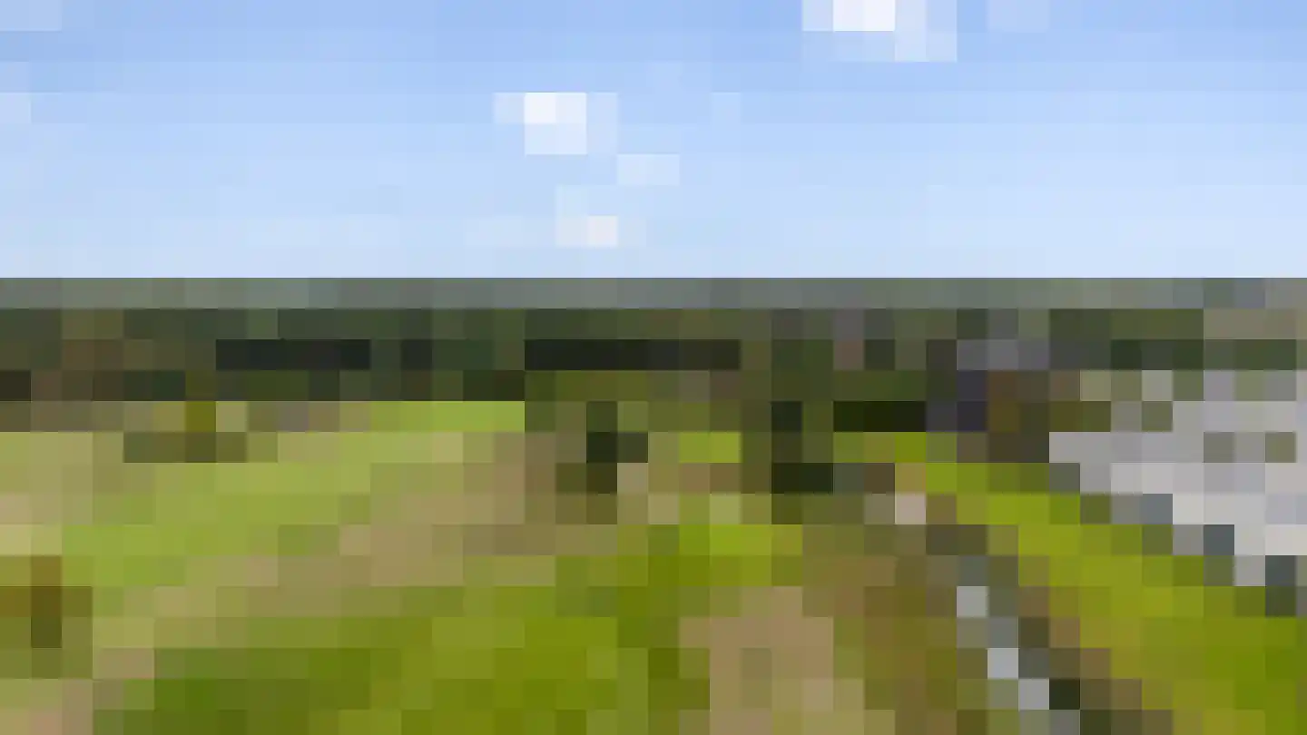Platte Akker 117 Teteringen thumbnail 36