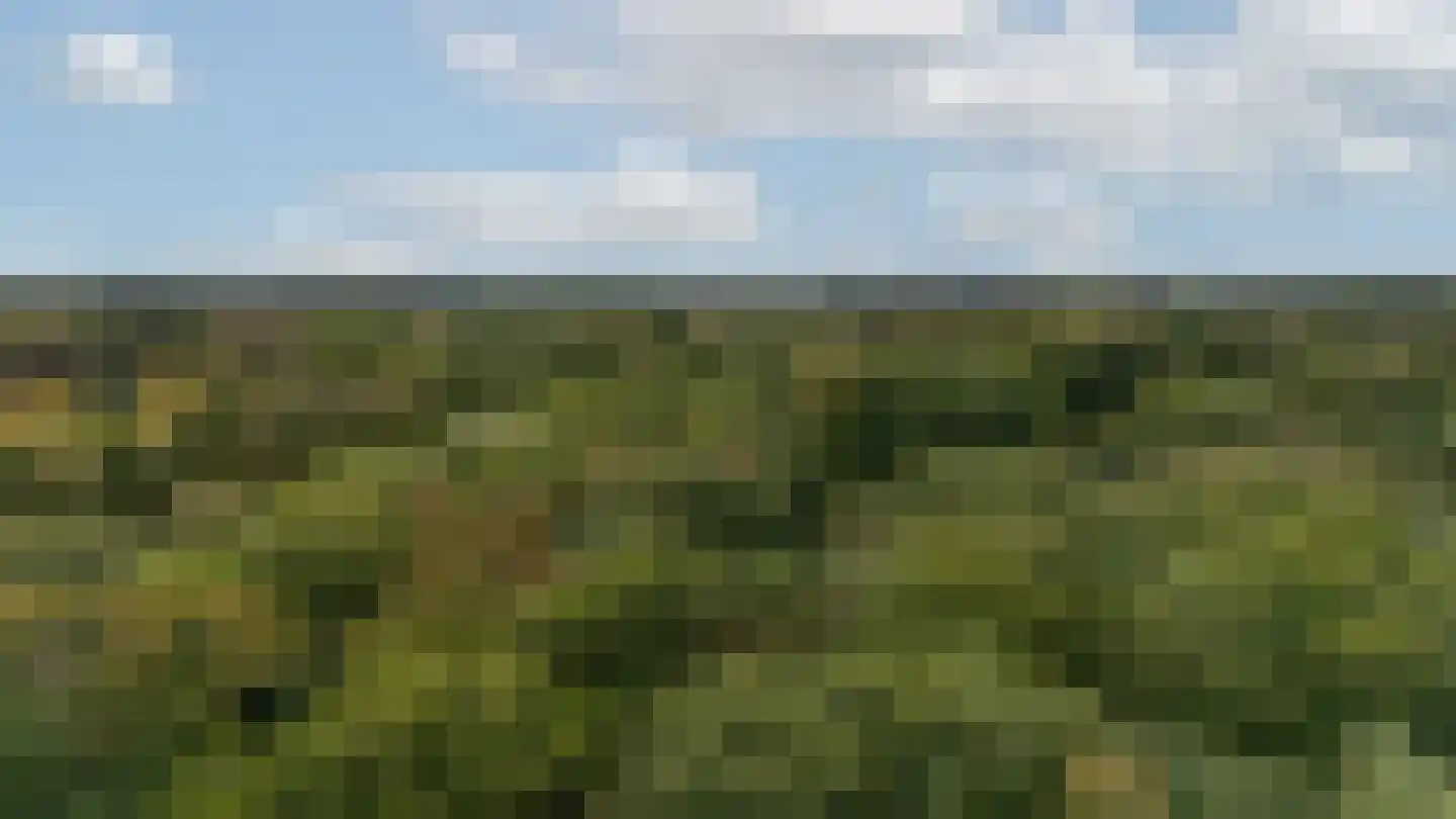 Platte Akker 117 Teteringen thumbnail 41