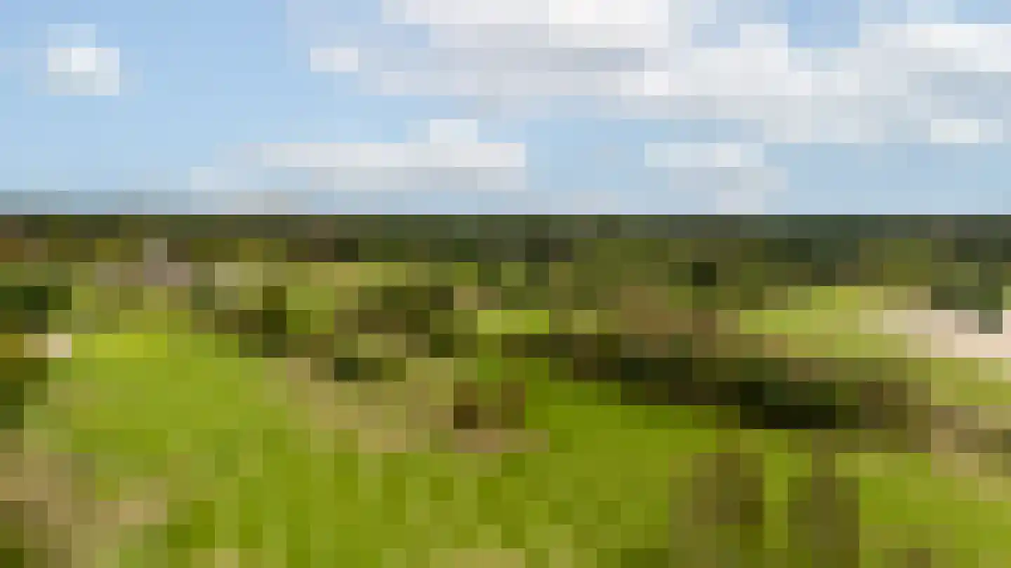 Platte Akker 117 Teteringen thumbnail 6