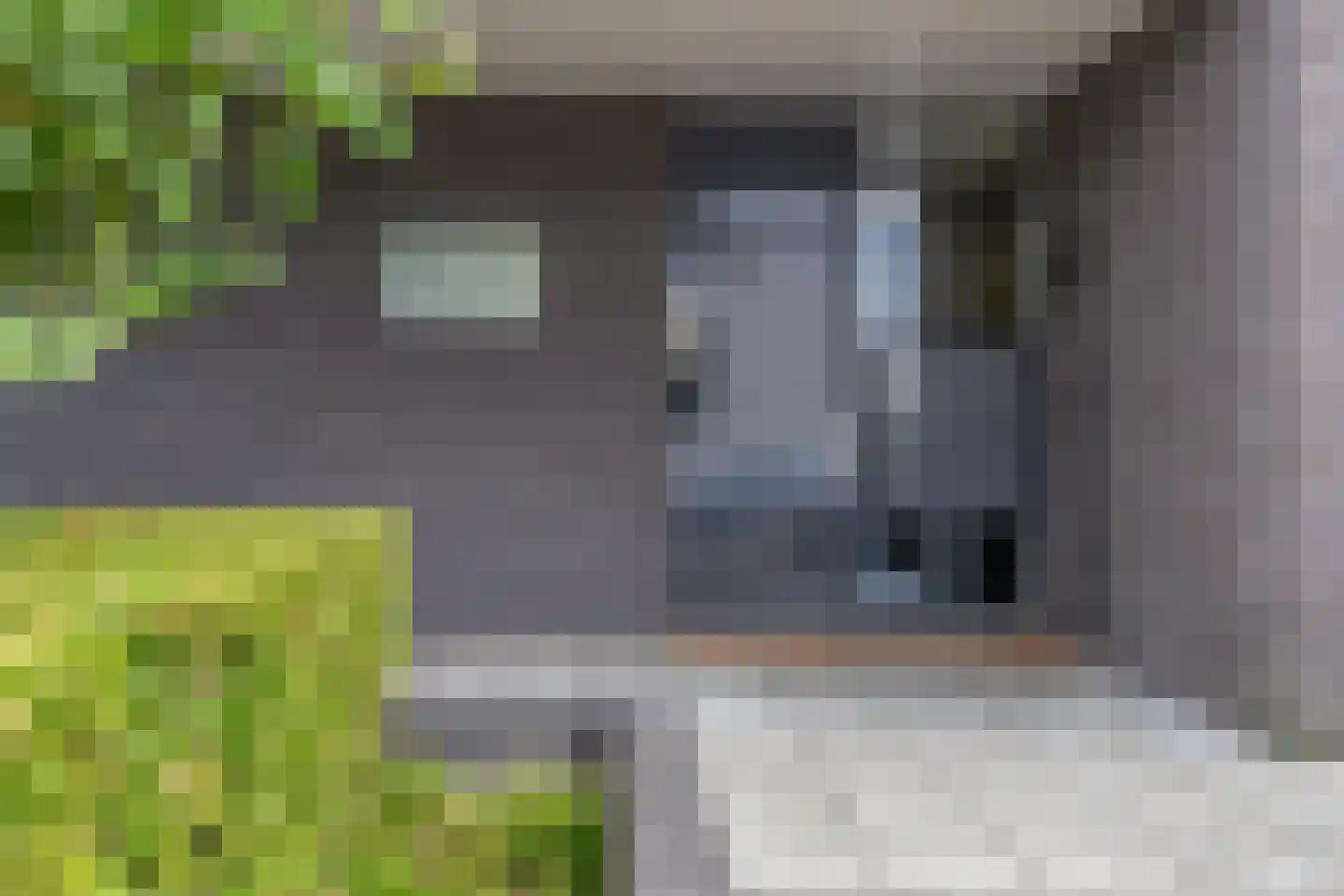 Platte Akker 133 Teteringen thumbnail 10