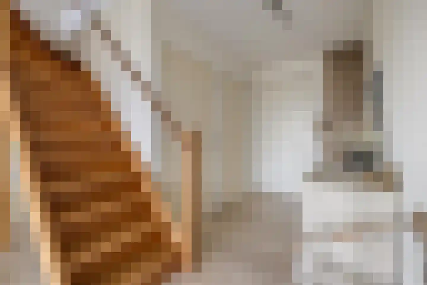 Platte Akker 133 Teteringen thumbnail 13