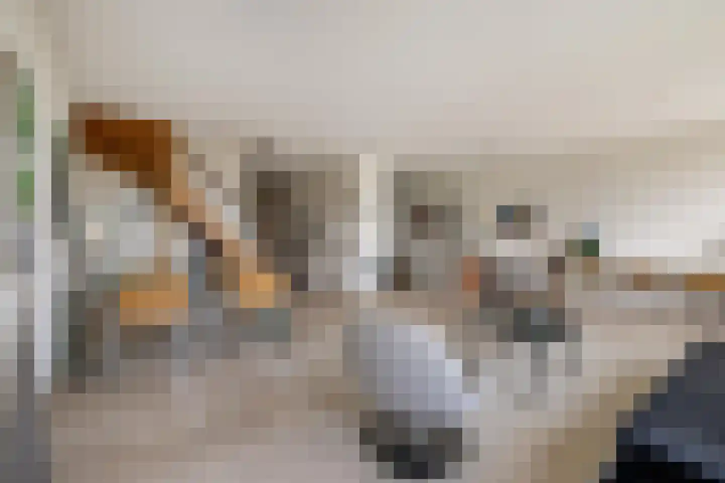 Platte Akker 133 Teteringen thumbnail 20