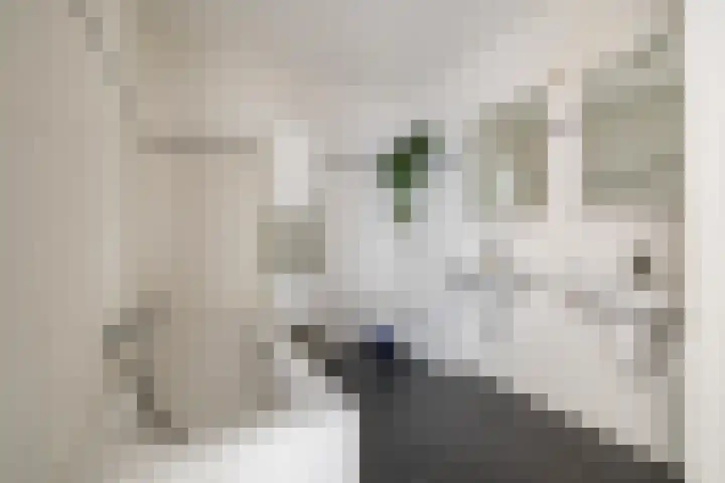 Platte Akker 133 Teteringen thumbnail 47