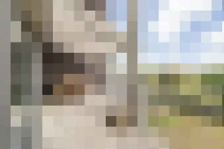 Platte Akker 143 Teteringen thumbnail 22