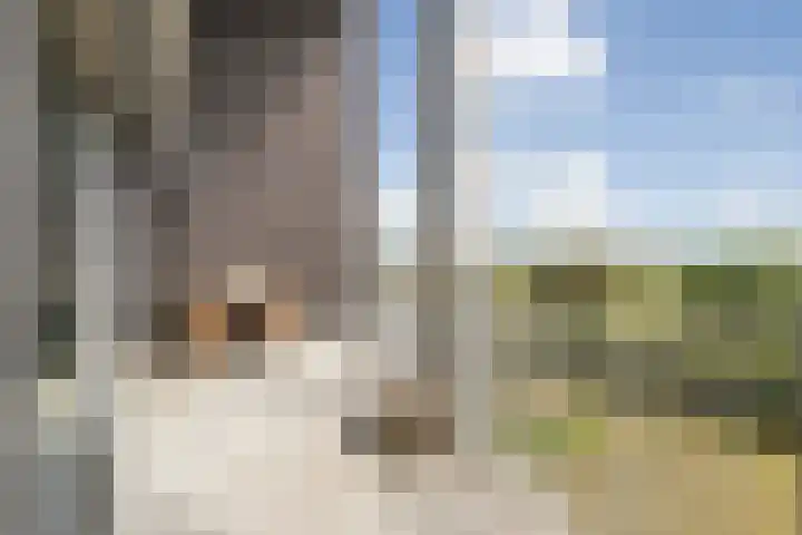 Platte Akker 143 Teteringen thumbnail 23