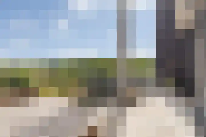 Platte Akker 143 Teteringen thumbnail 24