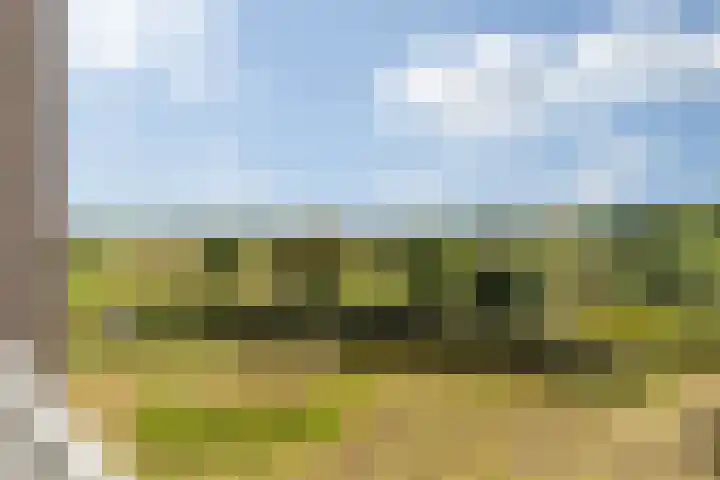 Platte Akker 143 Teteringen thumbnail 25