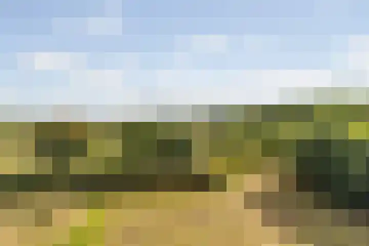 Platte Akker 143 Teteringen thumbnail 26