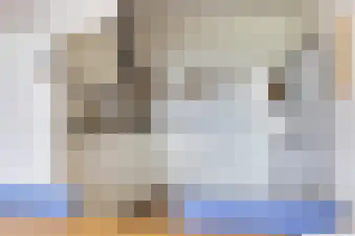 Platte Akker 143 Teteringen thumbnail 28