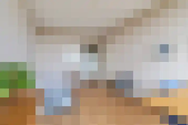 Platte Akker 143 Teteringen thumbnail 40