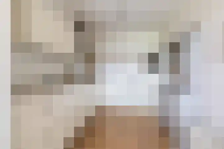 Platte Akker 143 Teteringen thumbnail 5