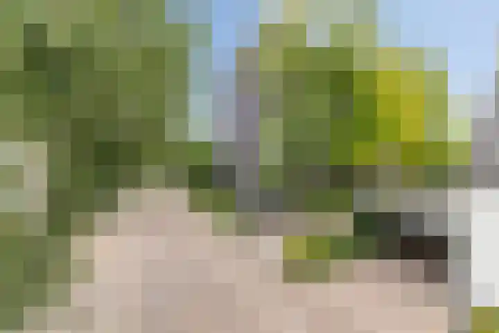 Platte Akker 143 Teteringen thumbnail 7