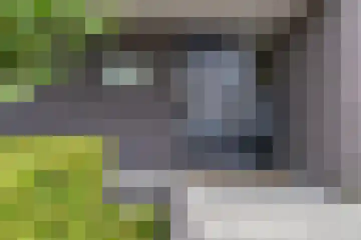 Platte Akker 143 Teteringen thumbnail 9