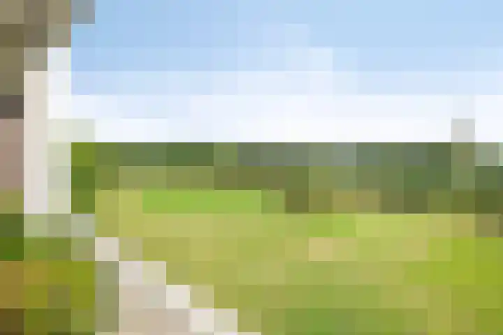 Platte Akker 189 Teteringen thumbnail 18