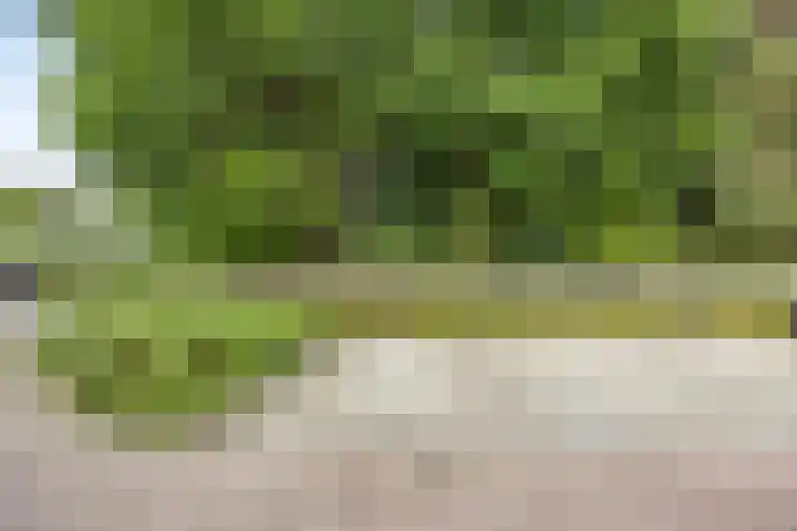 Platte Akker 189 Teteringen thumbnail 19