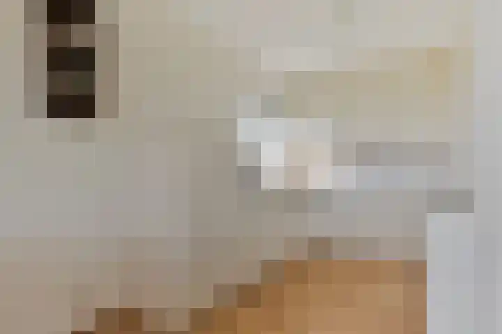 Platte Akker 189 Teteringen thumbnail 7