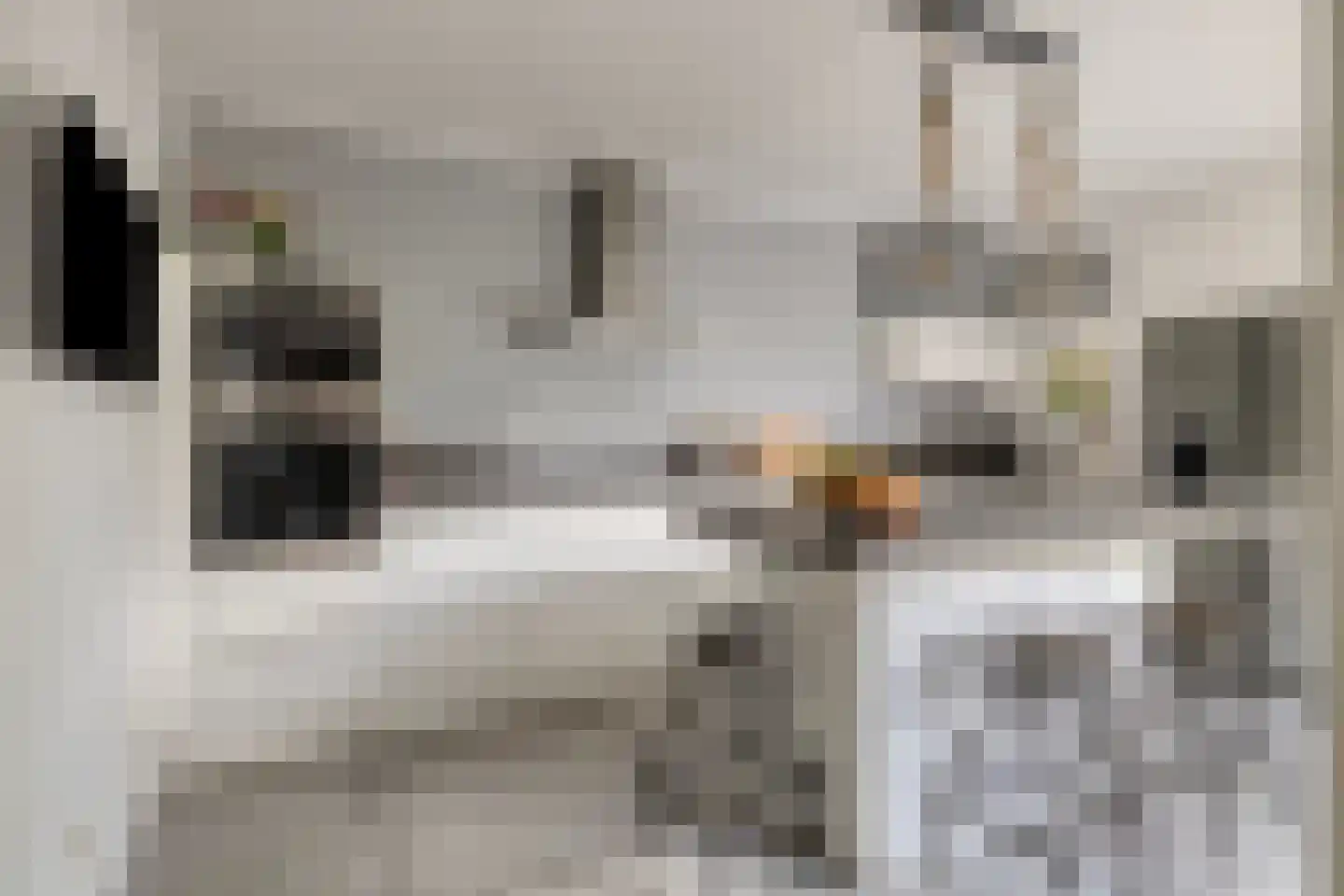 Platte Akker 40 Teteringen thumbnail 18