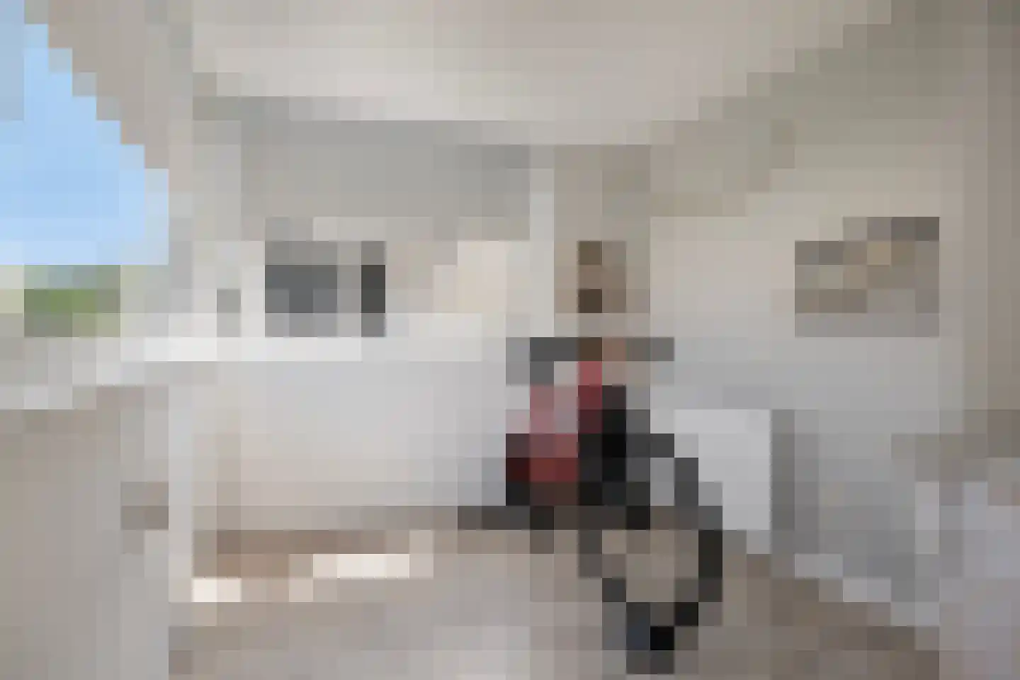 Platte Akker 40 Teteringen thumbnail 56