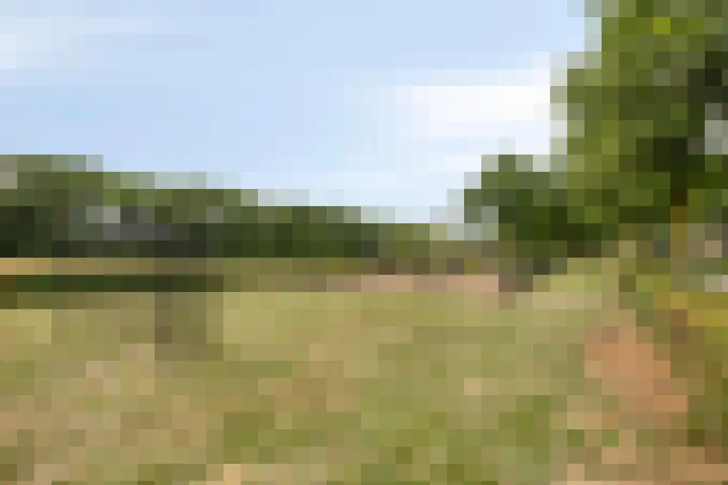 Platte Akker 40 Teteringen thumbnail 59