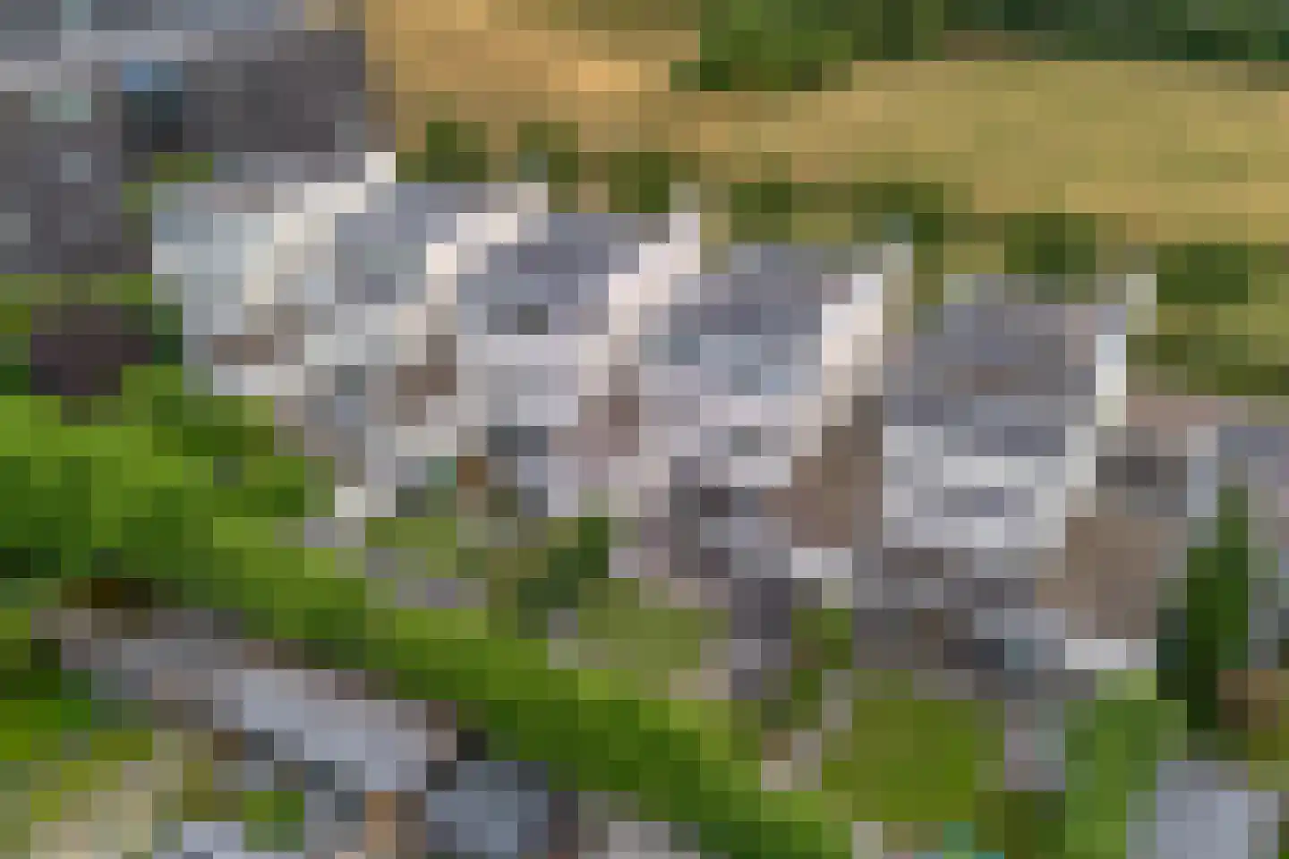 Platte Akker 40 Teteringen thumbnail 69