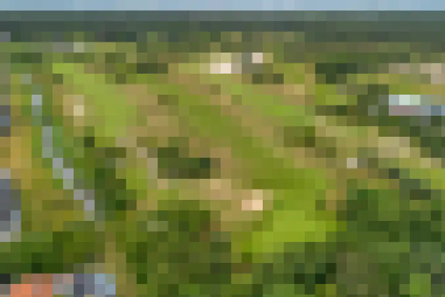 Platte Akker 40 Teteringen thumbnail 71