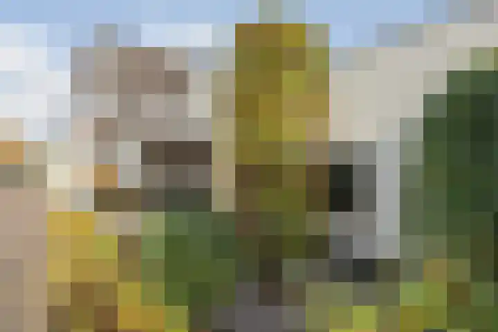 Platte Akker 43 Teteringen thumbnail 10