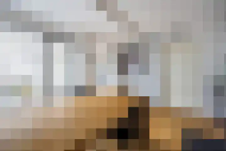 Platte Akker 43 Teteringen thumbnail 35