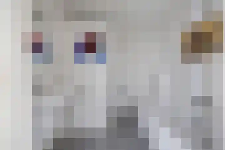 Platte Akker 43 Teteringen thumbnail 41