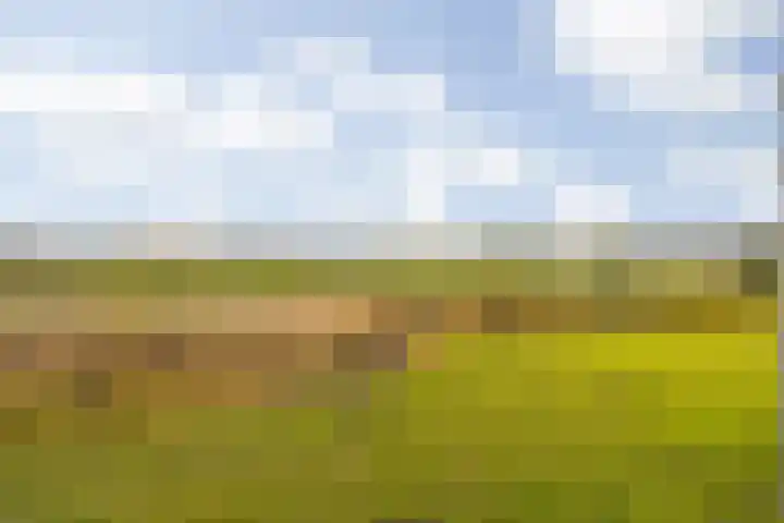 Platte Akker 43 Teteringen thumbnail 49