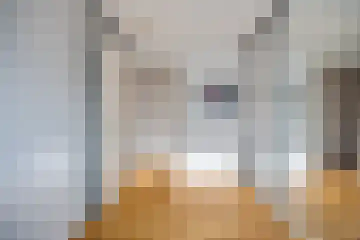 Platte Akker 43 Teteringen thumbnail 51