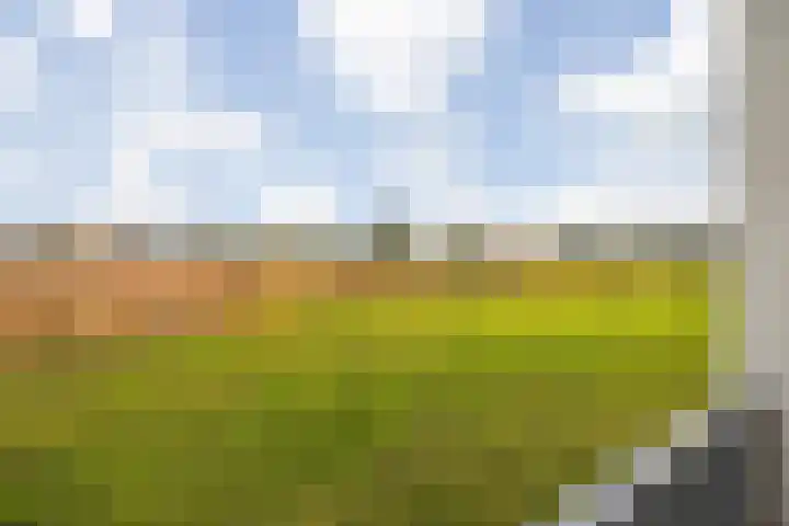 Platte Akker 43 Teteringen thumbnail 64
