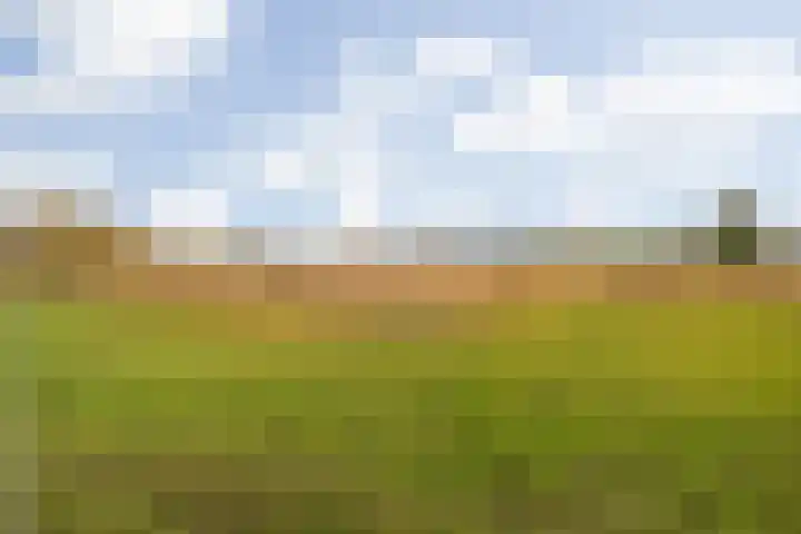 Platte Akker 43 Teteringen thumbnail 65