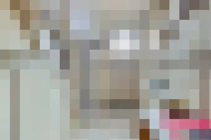 Platte Driedijk 12 Hoogvliet Rotterdam thumbnail 10