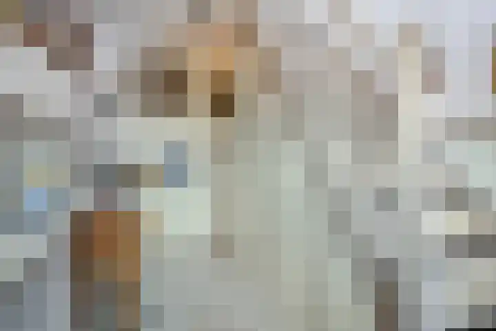 Platte Driedijk 12 Hoogvliet Rotterdam thumbnail 11